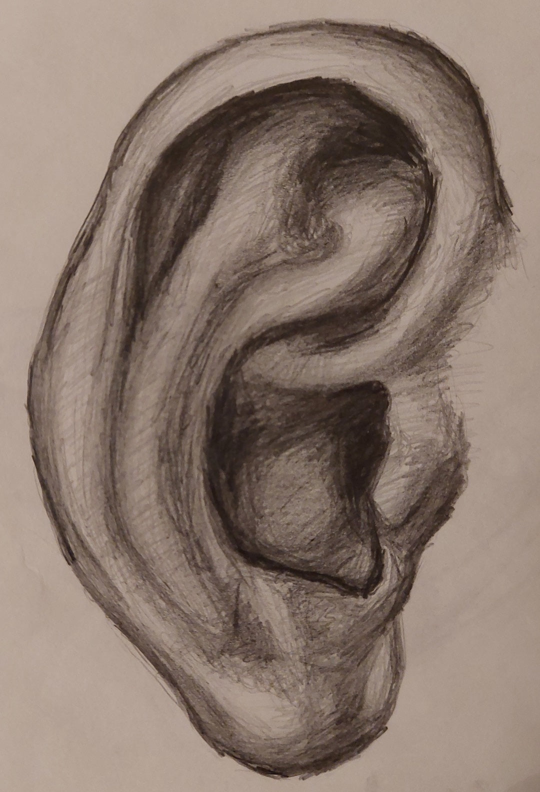 Ear