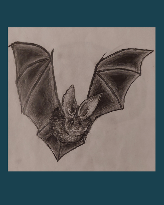 Bat