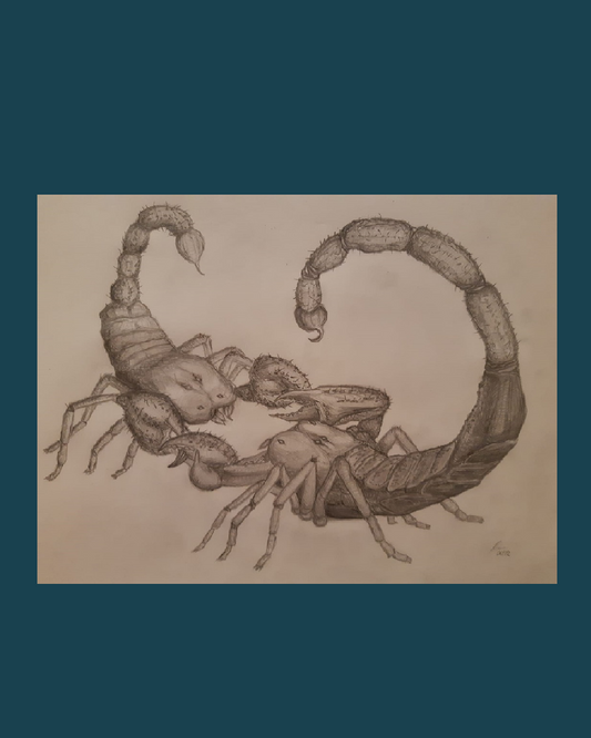Fighting Scorpions