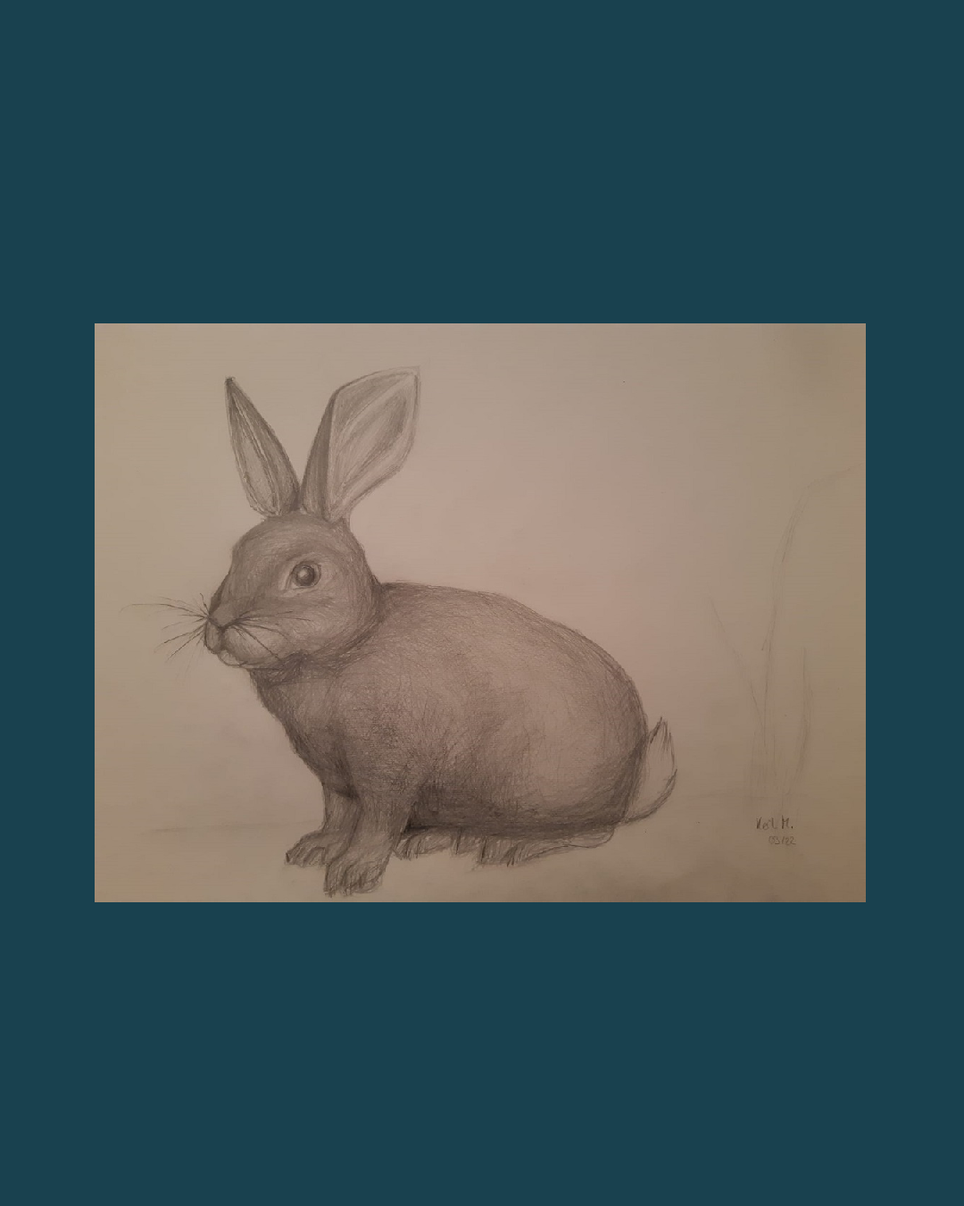 Rabbit
