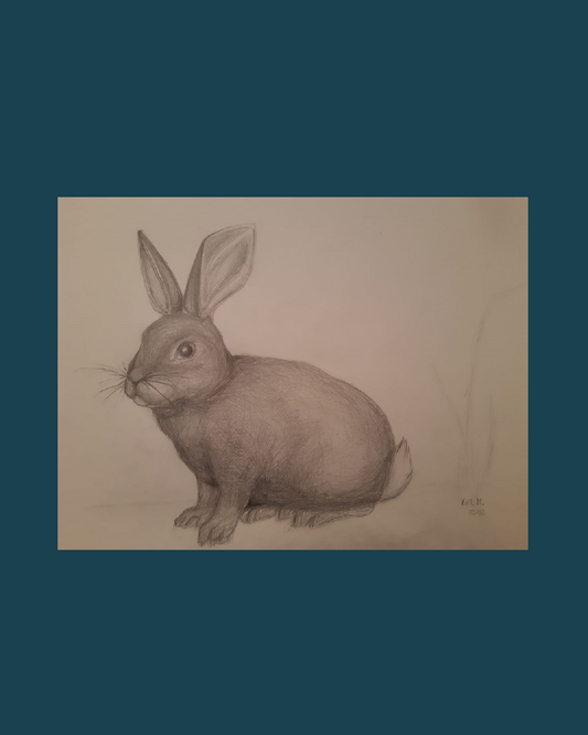 Rabbit
