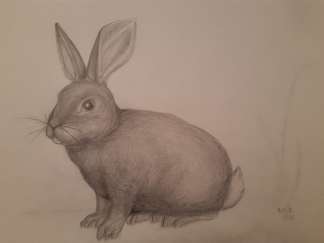 Rabbit